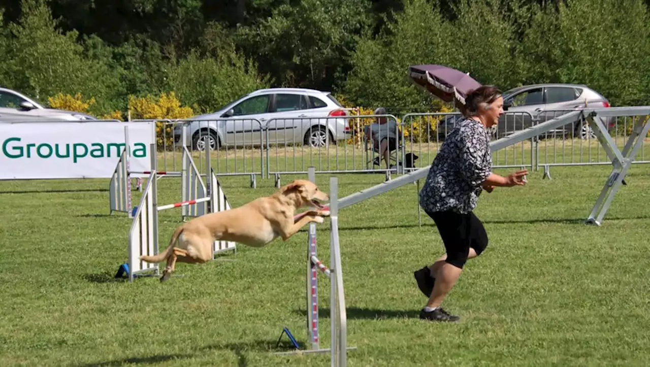 Un beau programme pour le week-end prochain à Villeneuve