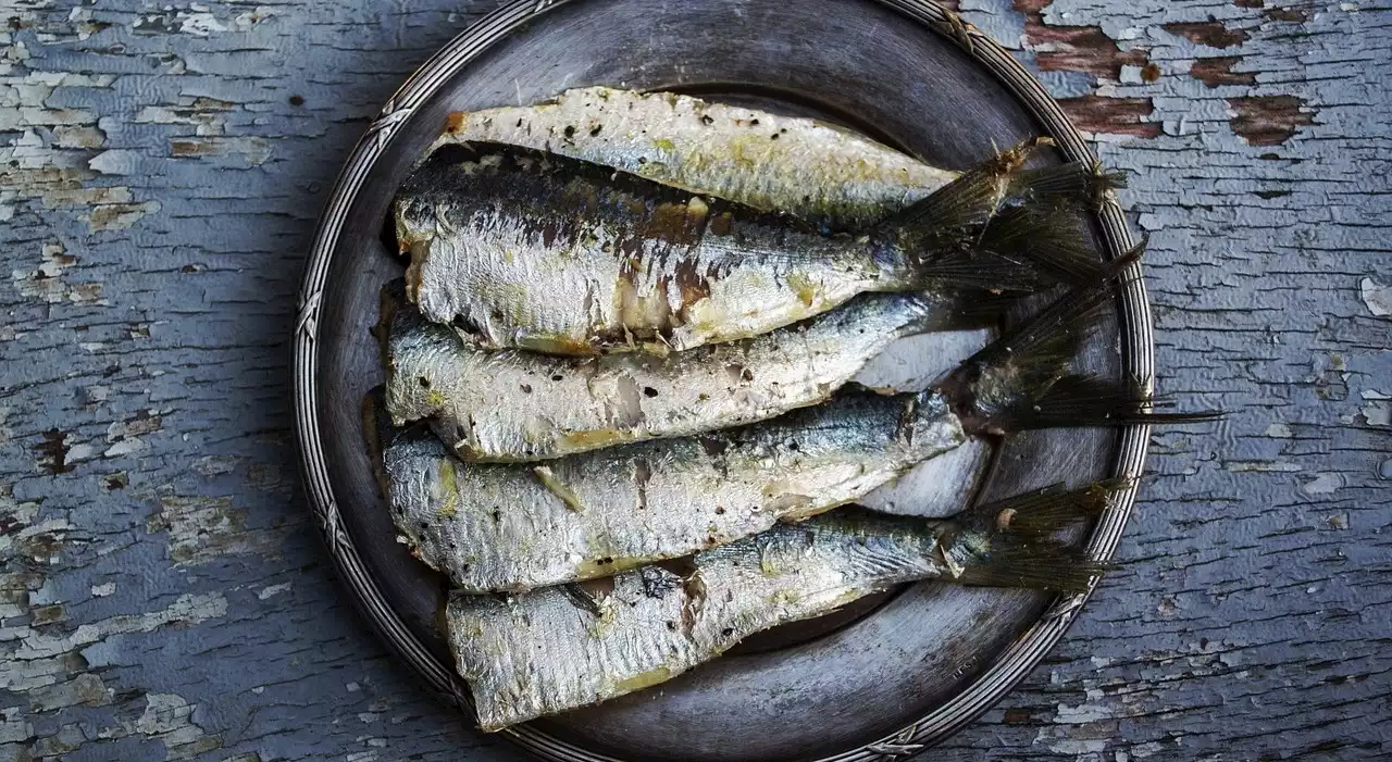 Botulino nelle sardine fatte in casa, 10 persone intossicate al bar: morta una donna, il marito in terapia intensiva