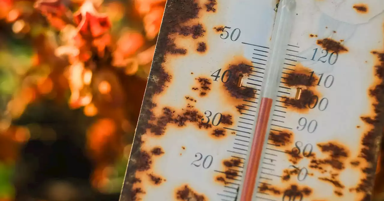 Près de 400 morts en excès pendant la canicule d’août en France