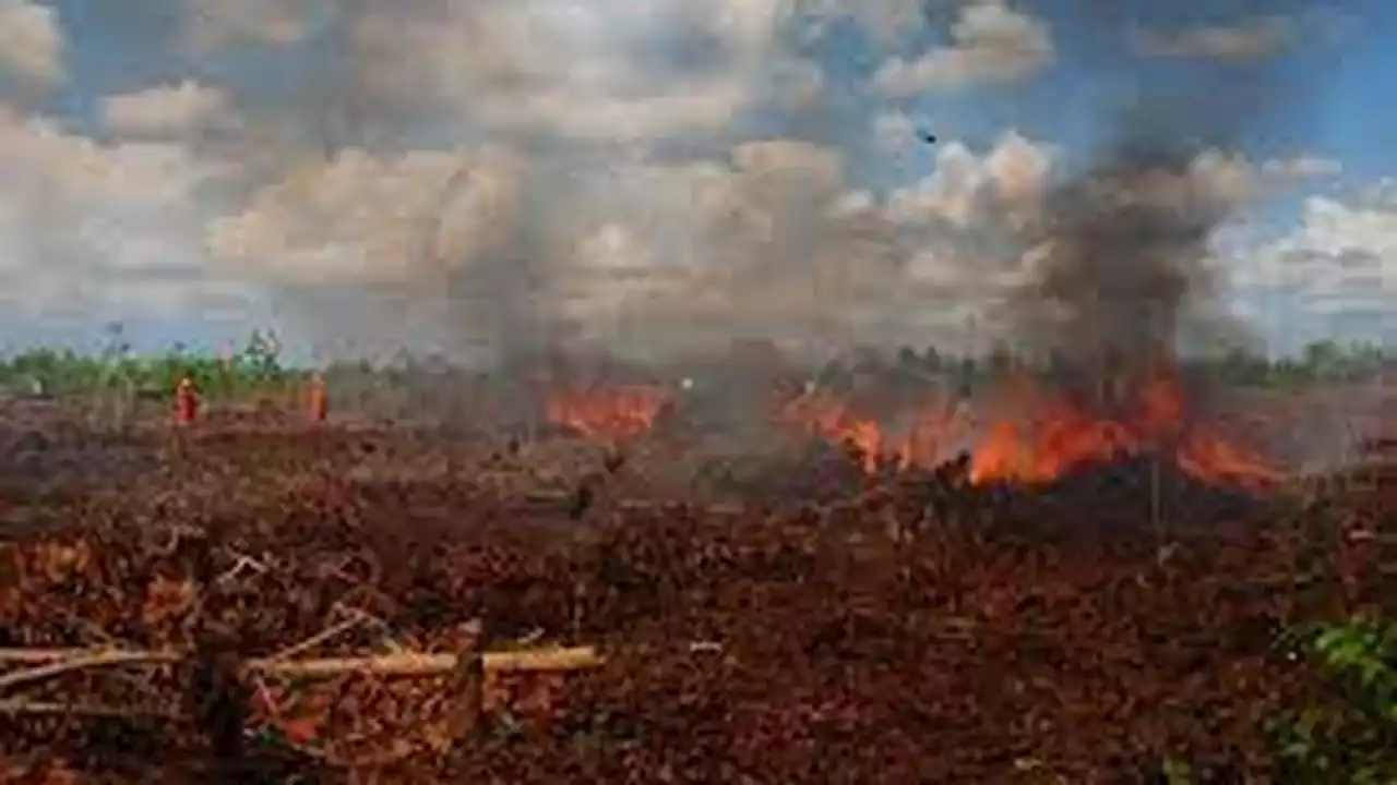 Puncak Musim Kemarau, BMKG Banyuwangi Imbau Waspada Kebakaran Lahan