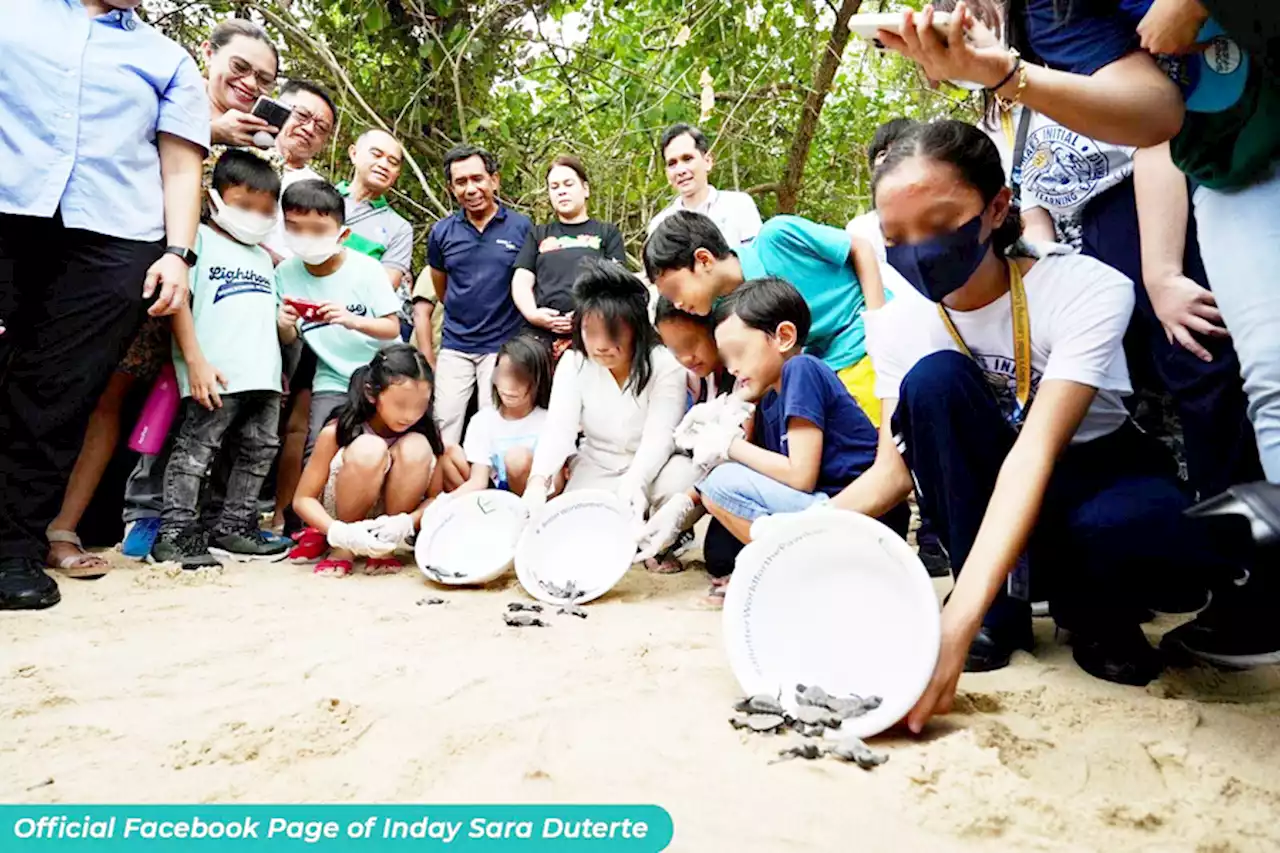 VP Sara leads release of hawksbill turtle hatchlings in Davao City