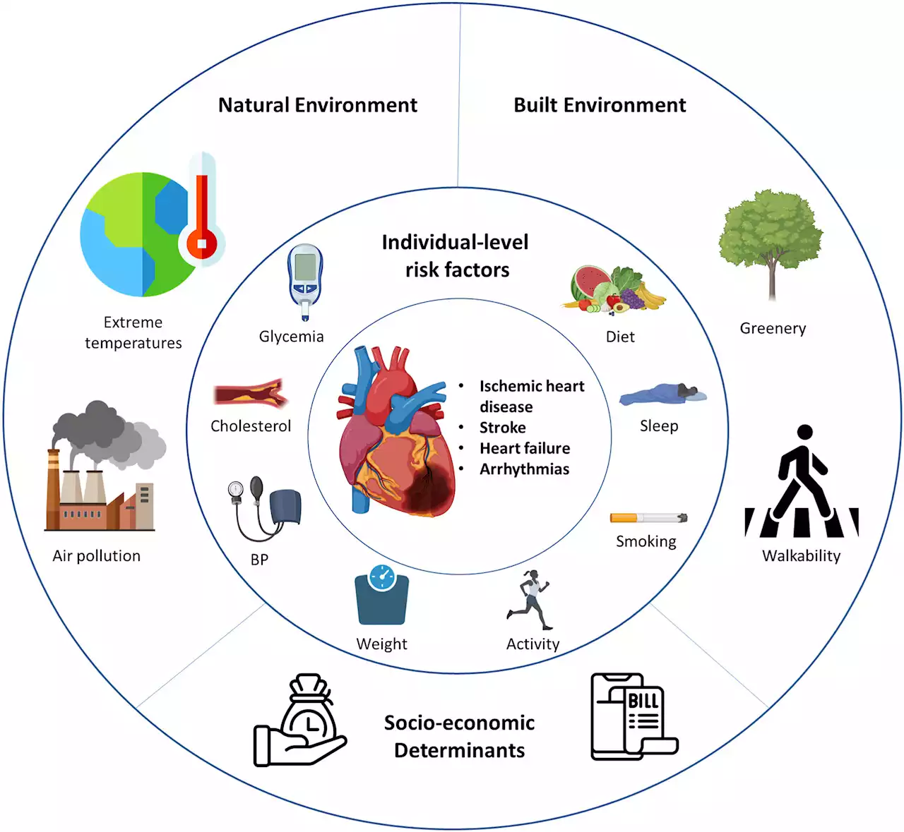 Experts present detailed evidence on the impact of environmental issues on cardiovascular health