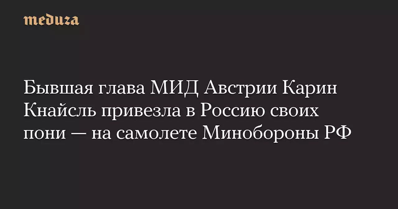 Бывшая глава МИД Австрии Карин Кнайсль привезла в Россию своих пони — на самолете Минобороны РФ — Meduza