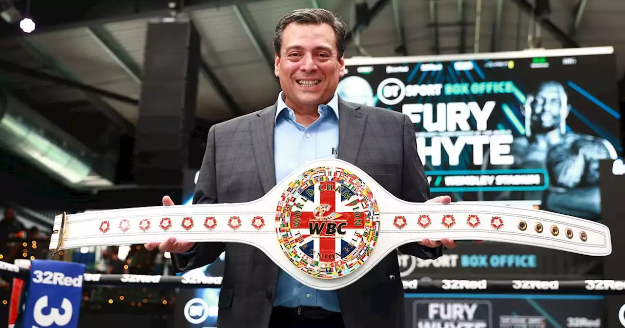 WBC president delivers Fury world title verdict and clarifies Usyk stance