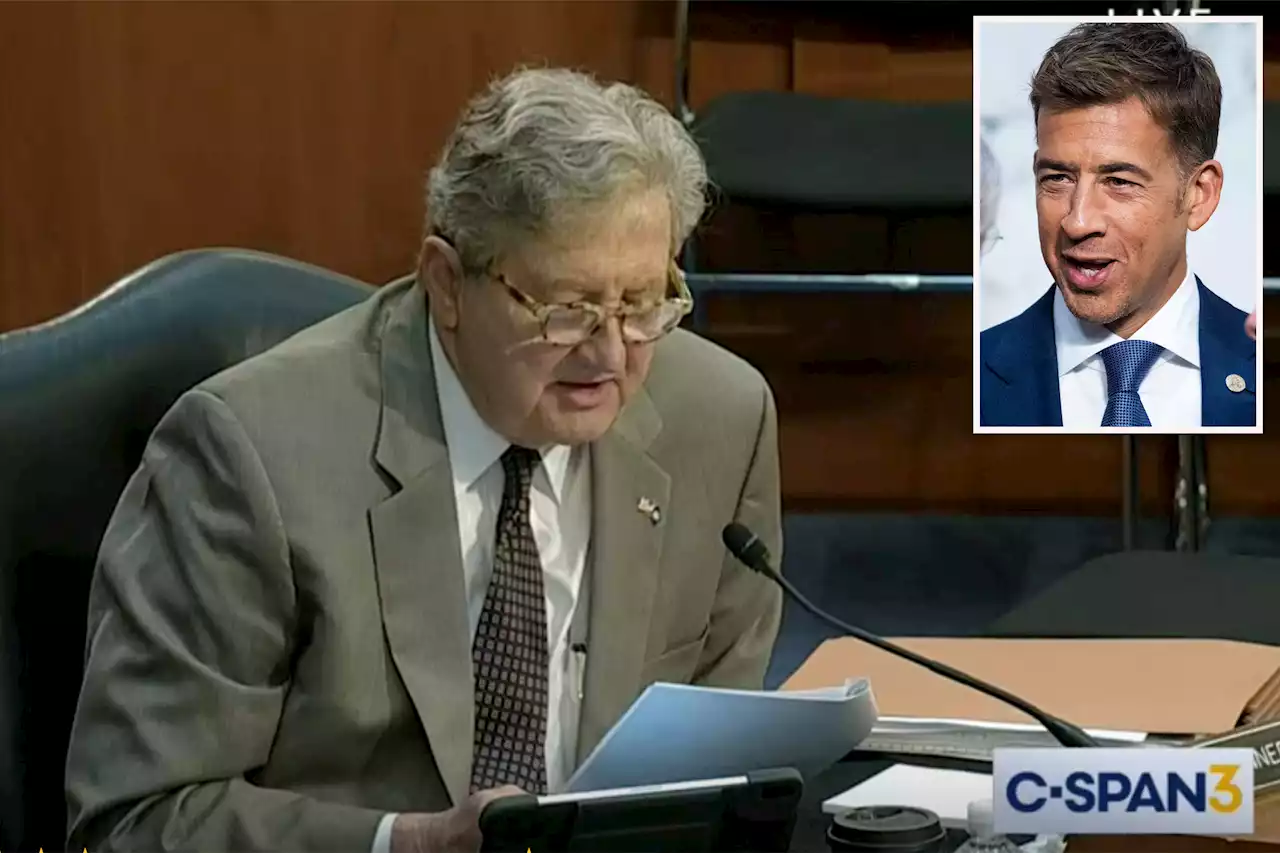 Senator, 71, gets NSFW with sexually graphic reading during hearing on book bans