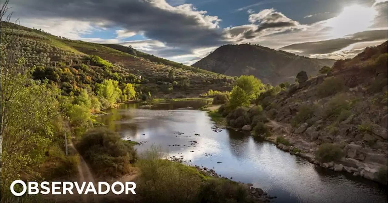 CIM de Trás-os-Montes exige manutenção da Direção Regional de Agricultura em Mirandela