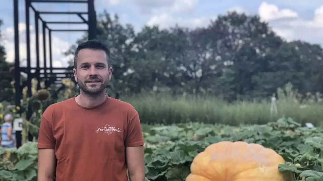 Légumes XXL : ﻿le record du plus gros potiron de France sera-t-il battu en Vendée ?