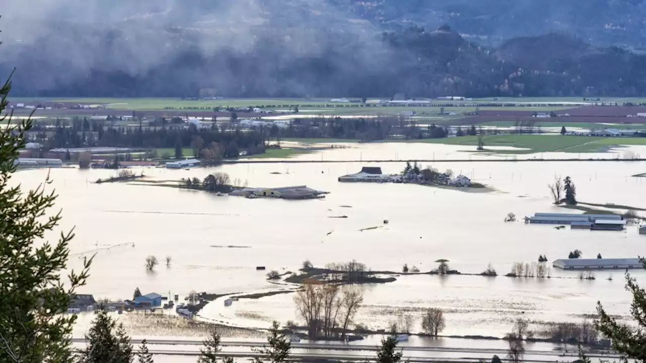 Major holes in dike oversight left communities vulnerable before November 2021 disasters: report