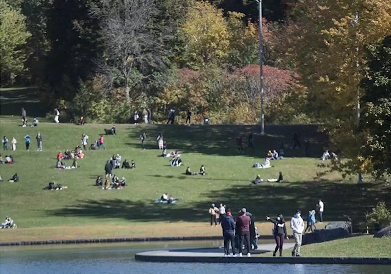 Montreal to expand Mount Royal Park, ban cars from part of main access road