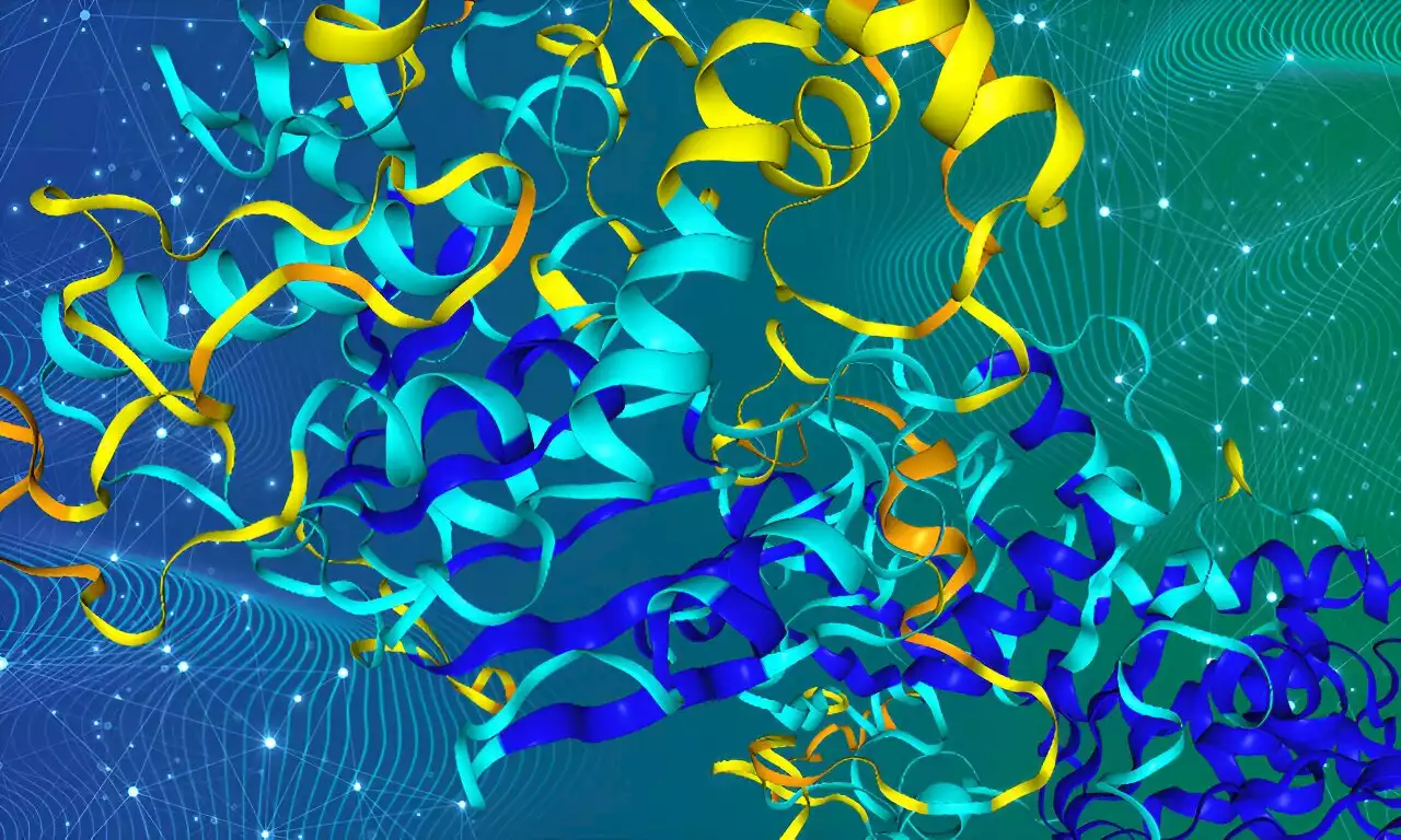 Revealing the secrets of protein evolution using the AlphaFold database