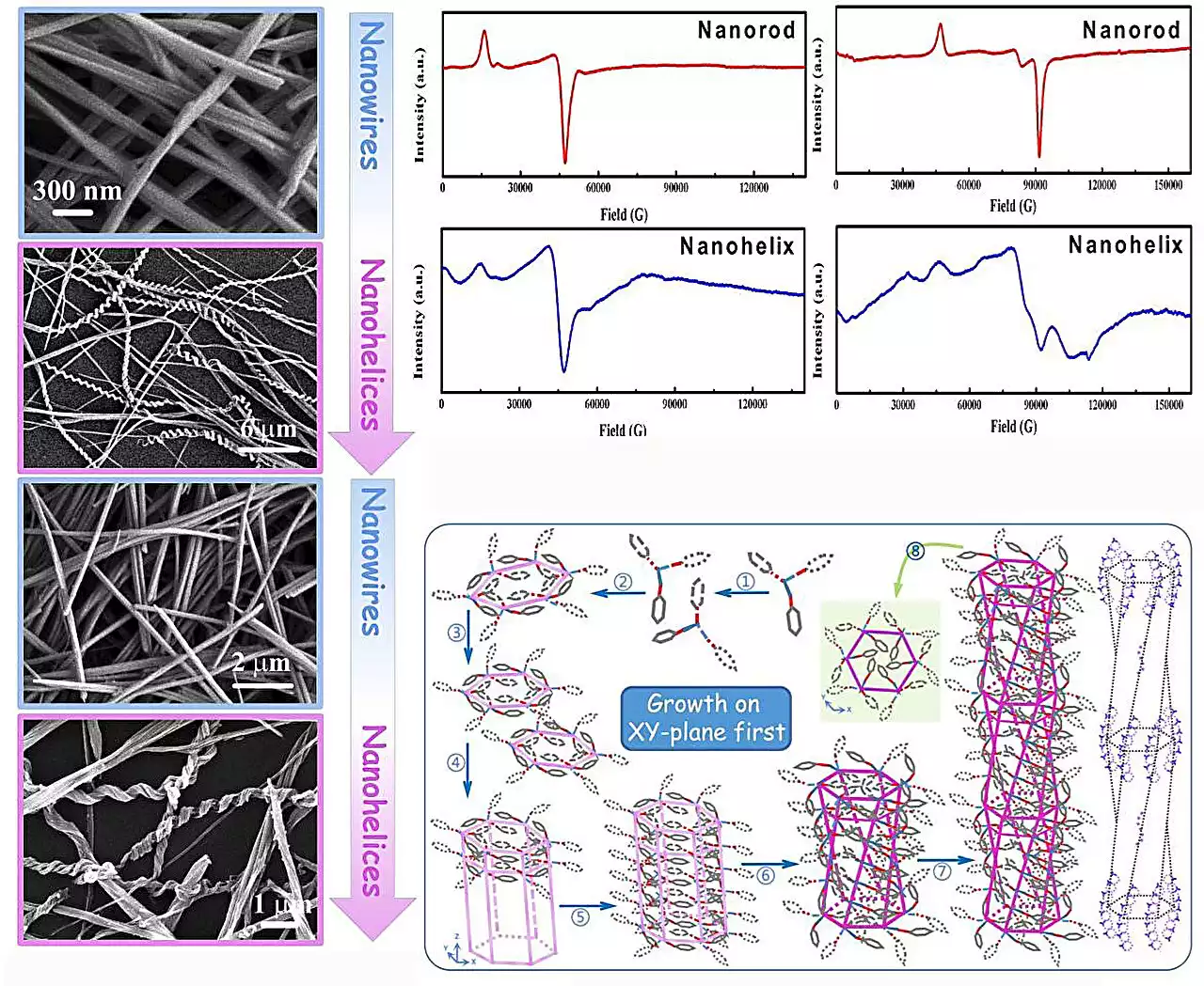 Scientists reveal twisting-untwisting-retwisting cycle of nanohelices