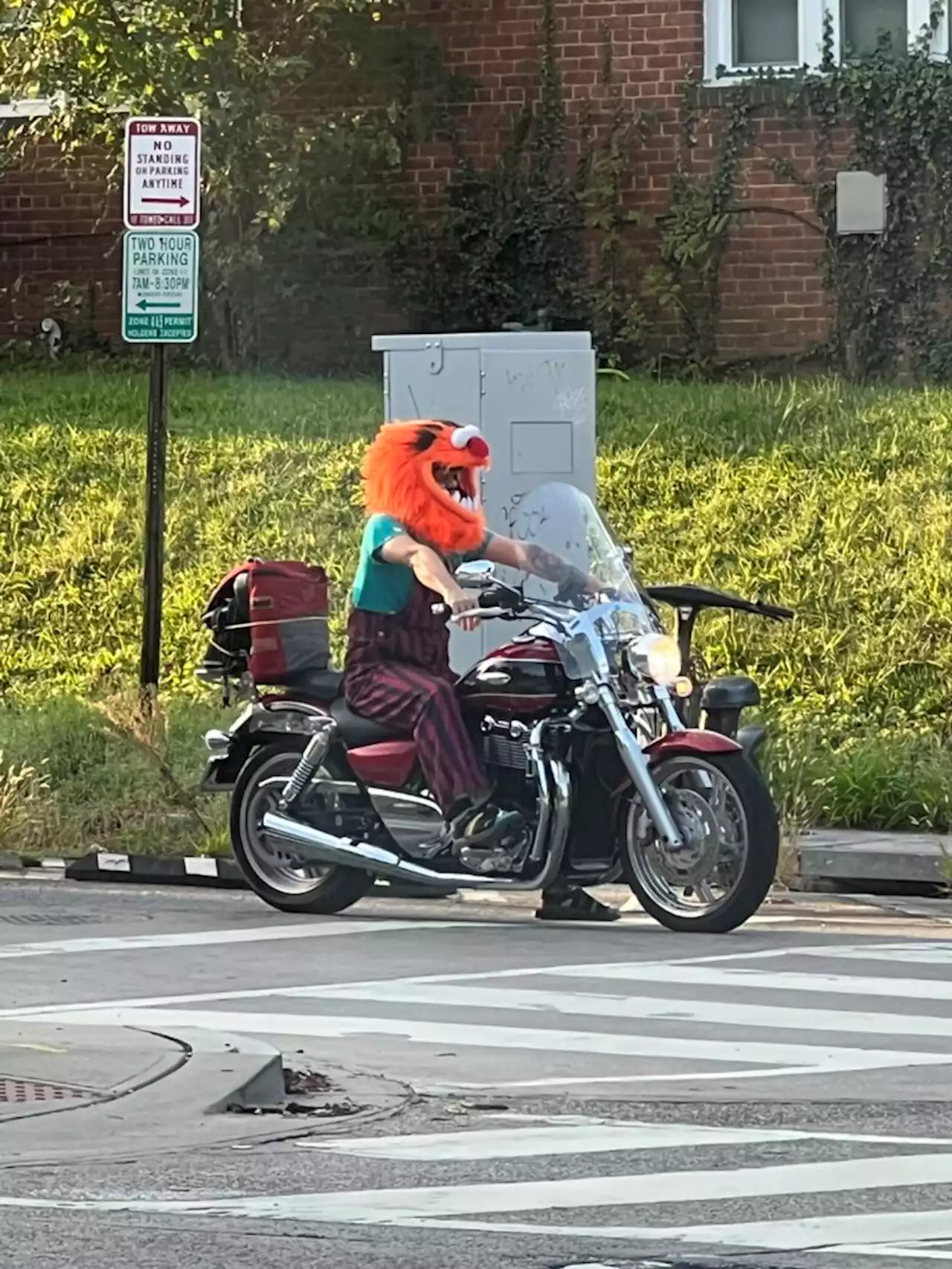 “Just a regular morning commute in DC.”