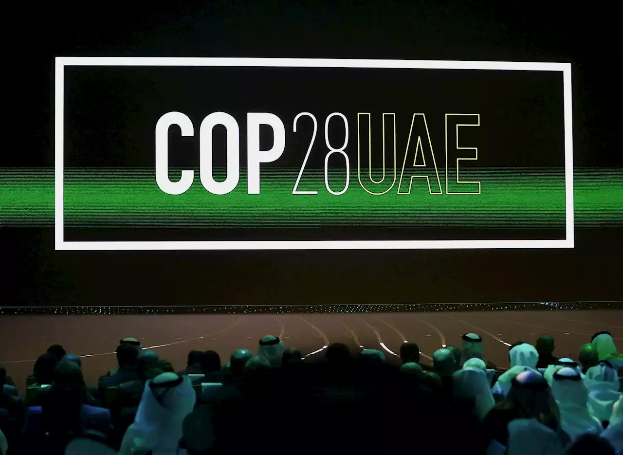 Human rights groups send COP28 demands to UAE, governments