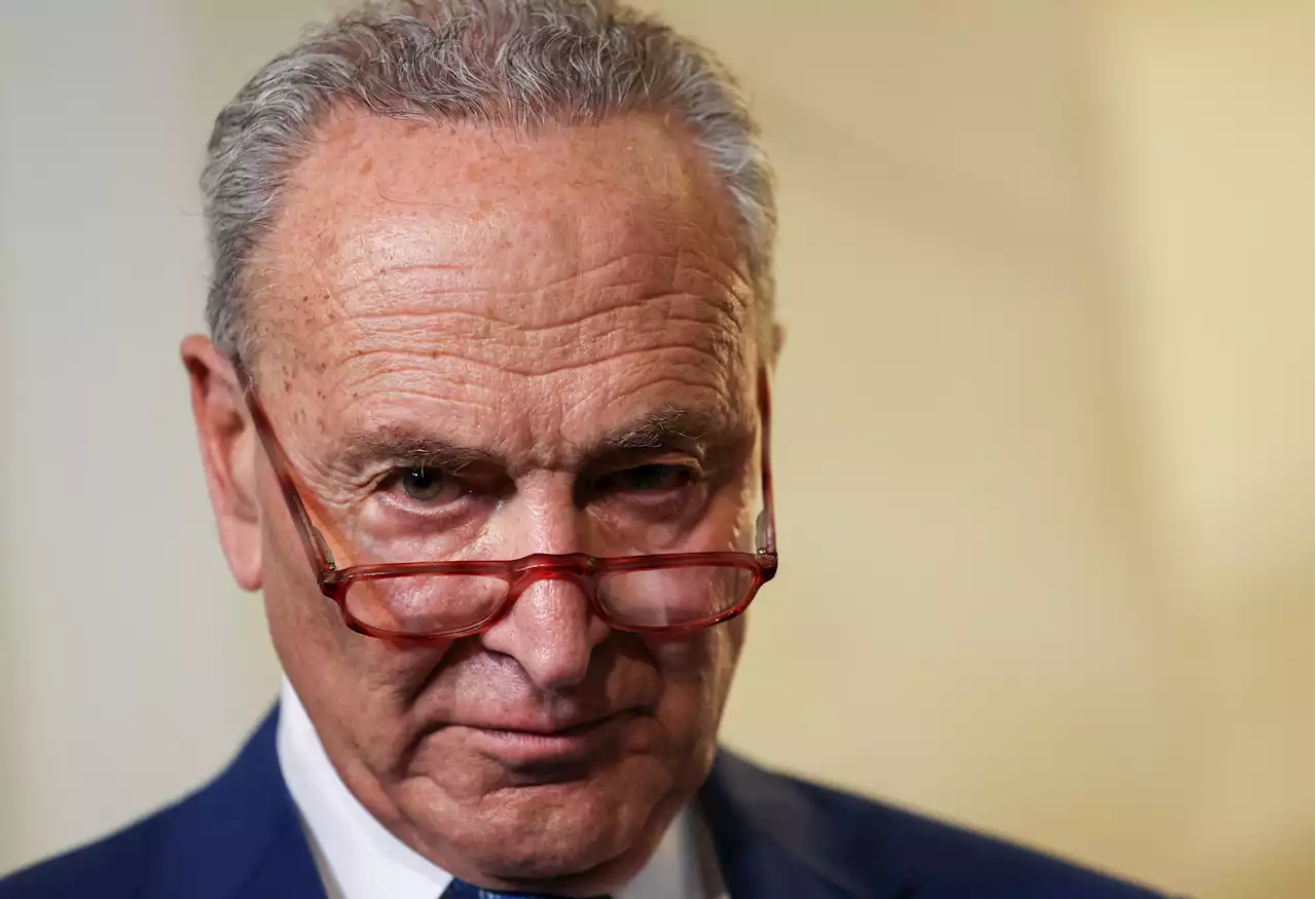 US Senate's Schumer: AI regulations needed but should not be rushed