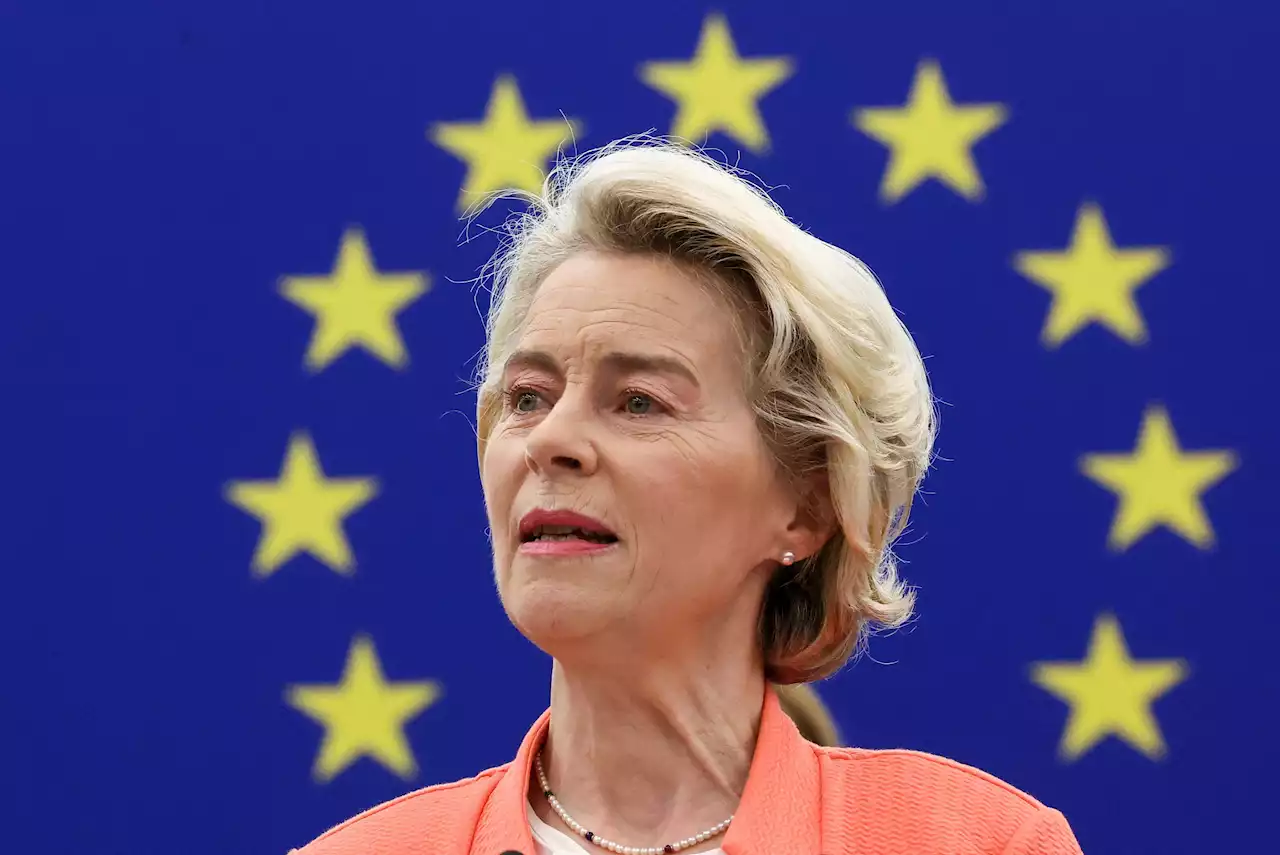 Von der Leyen defends track record ahead of EU elections