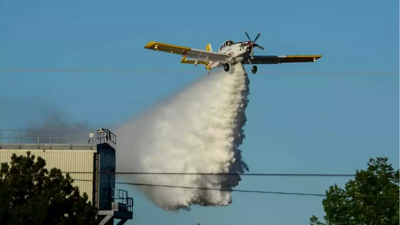 Work smarter to prevent New Brunswick wildfires, says Tory backbencher