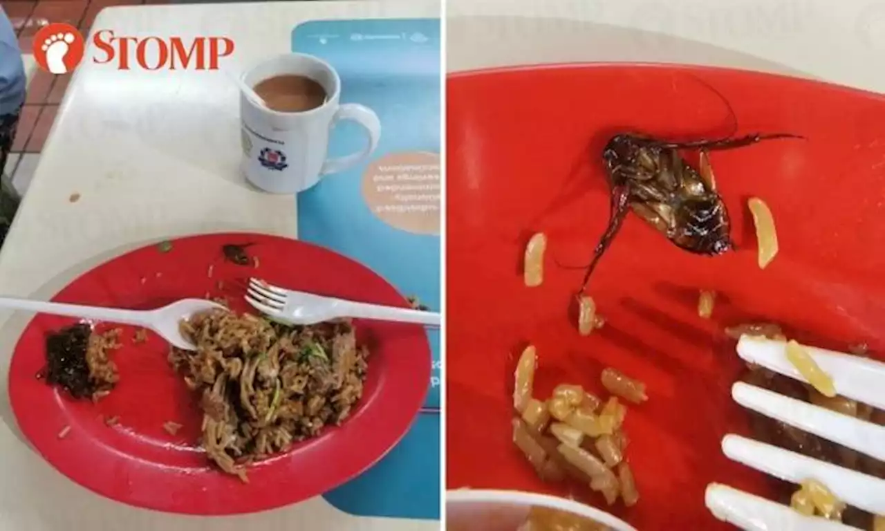 Cockroach in duck rice at Bukit Timah food centre: SFA finds no pest infestation, no food safety lapses