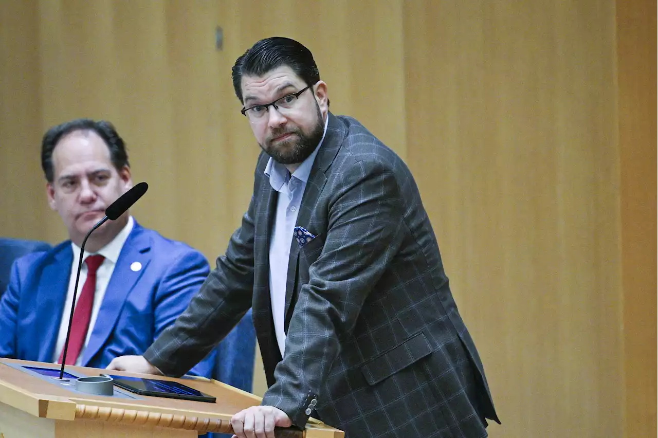 Åkesson: 'Det är rakt igenom strunt'