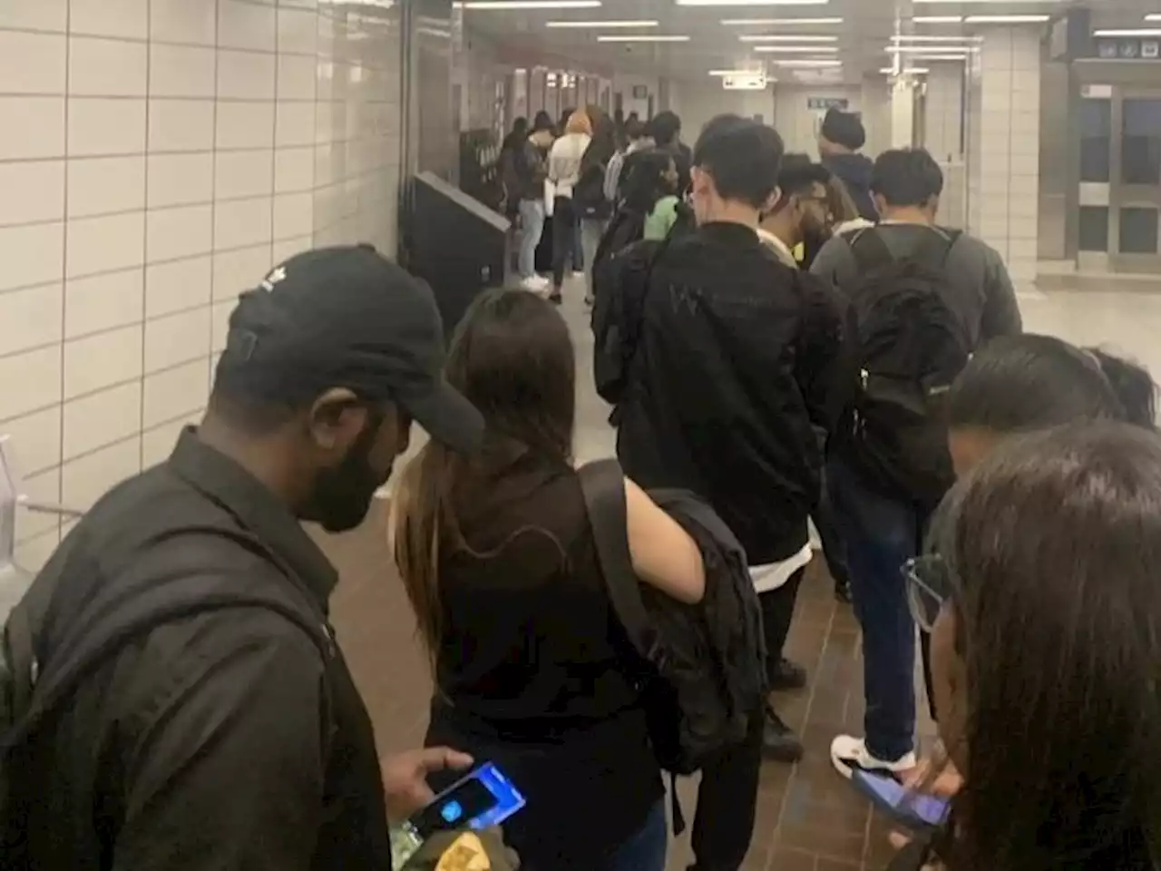 Lineups show access to TTC’s student pass should be made easier