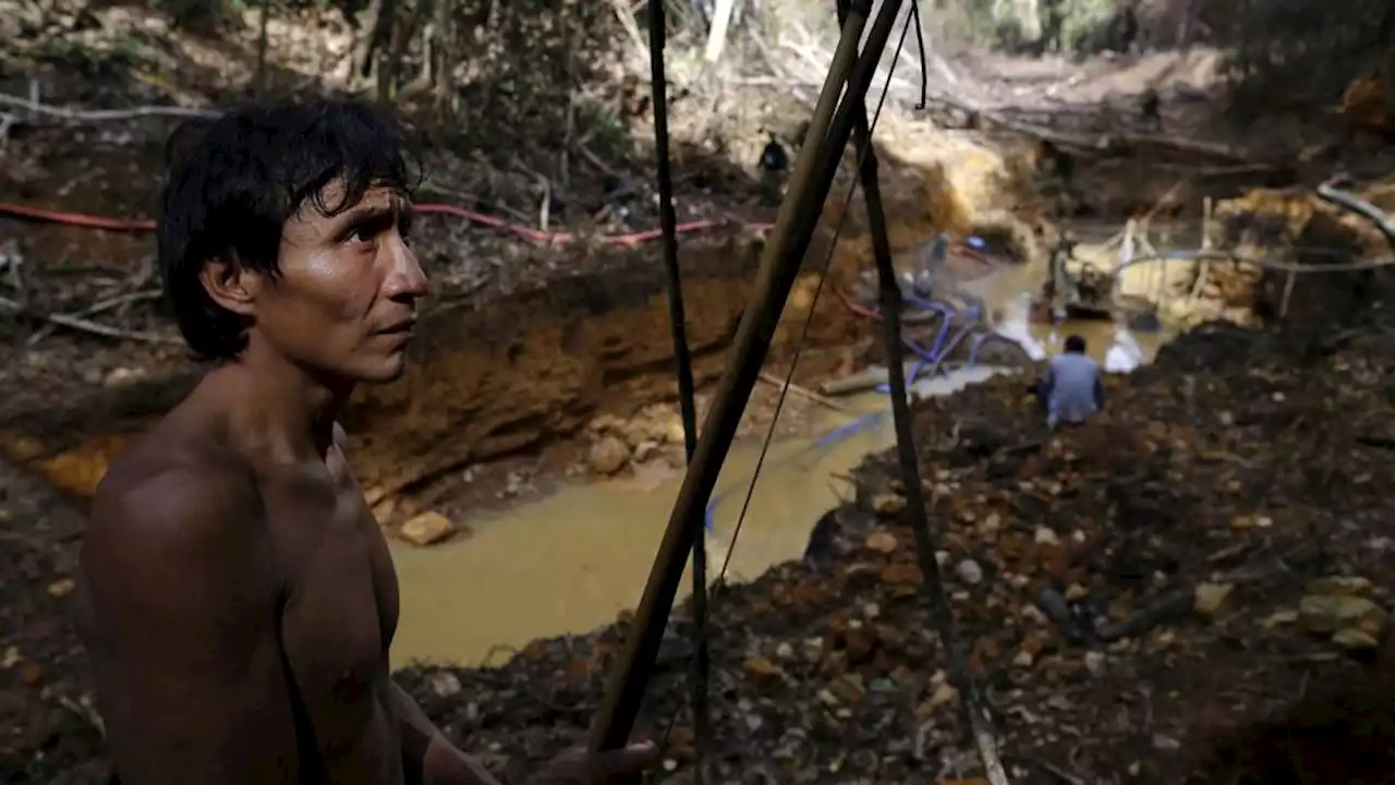 Colombia deadliest country for environmental defenders — NGO