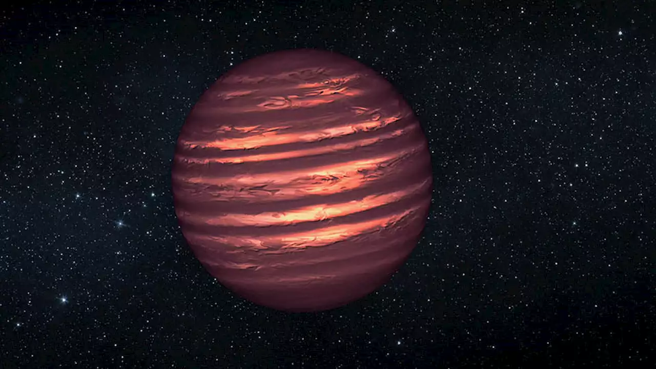 JWST Accidentally Found 21 Brown Dwarfs