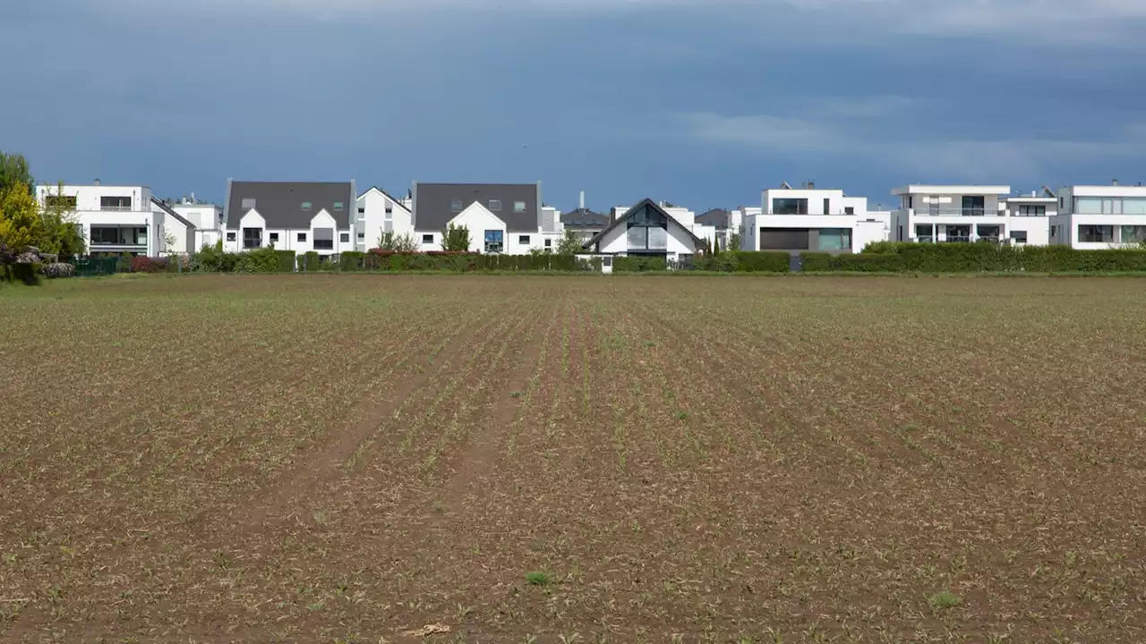 - Was Großstädter aufs Land zieht und was sie dort erwartet