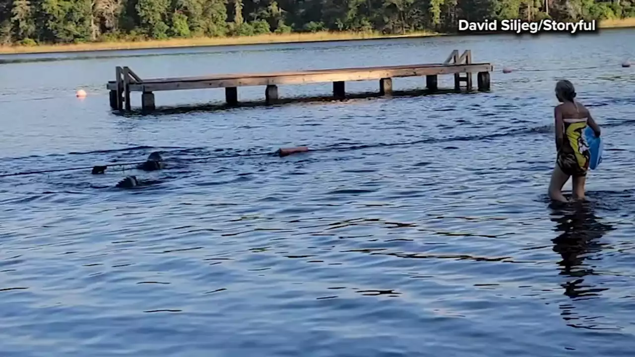 Screams ring out as alligator swims toward children in lake at Huntsville State Park, video shows