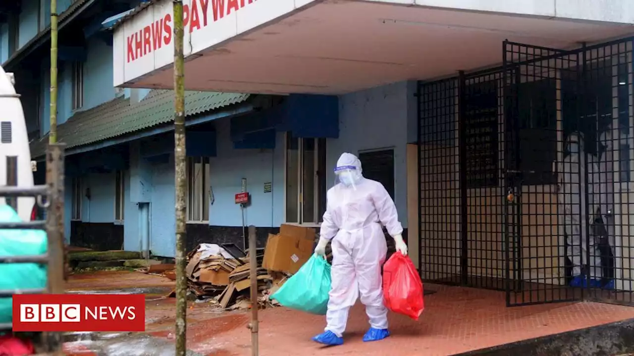 Nipah: como age o vírus que fez Índia fechar escolas e escritórios