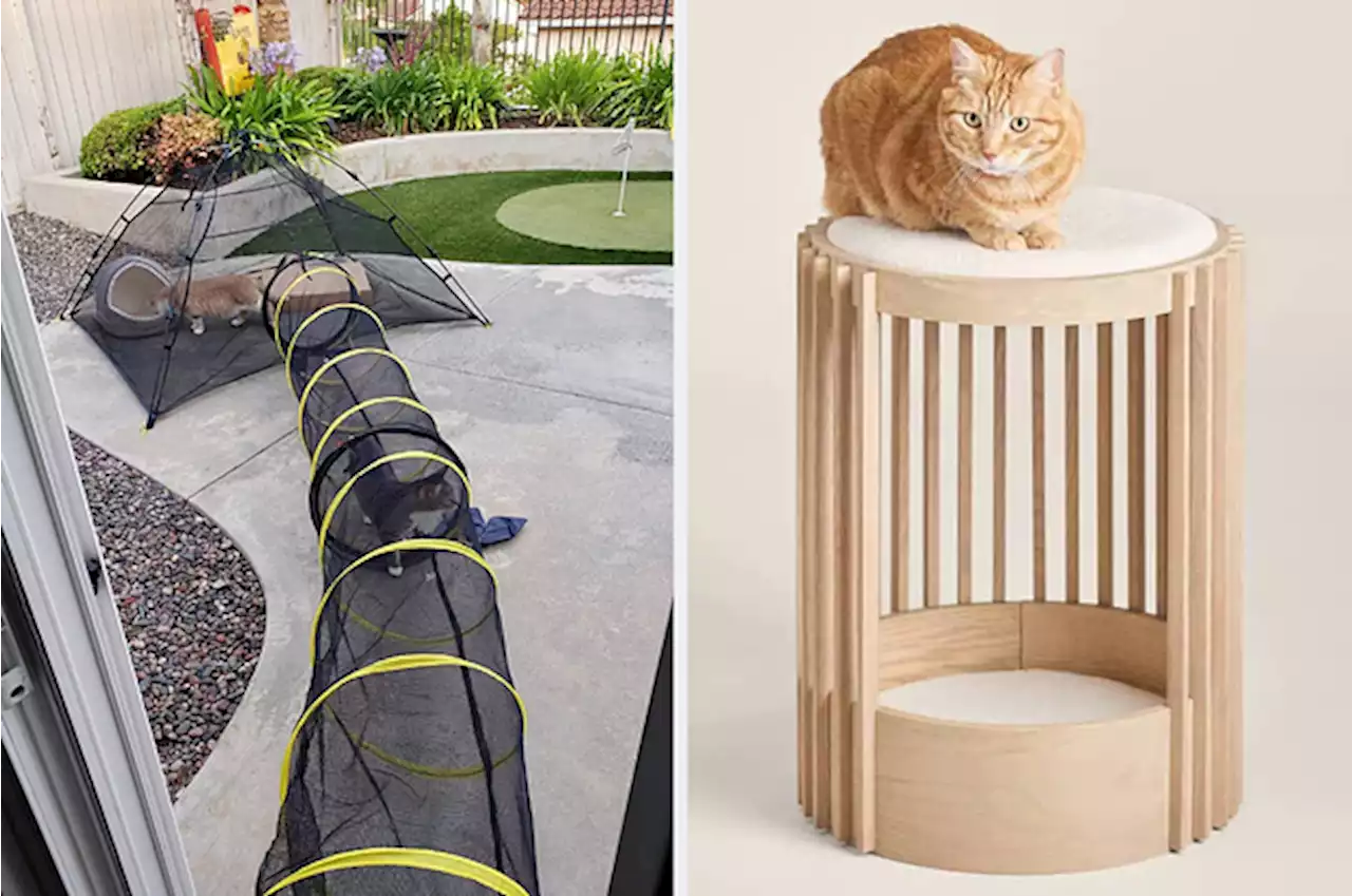 34 Products Your Pet Will Personally Thank You For Buying