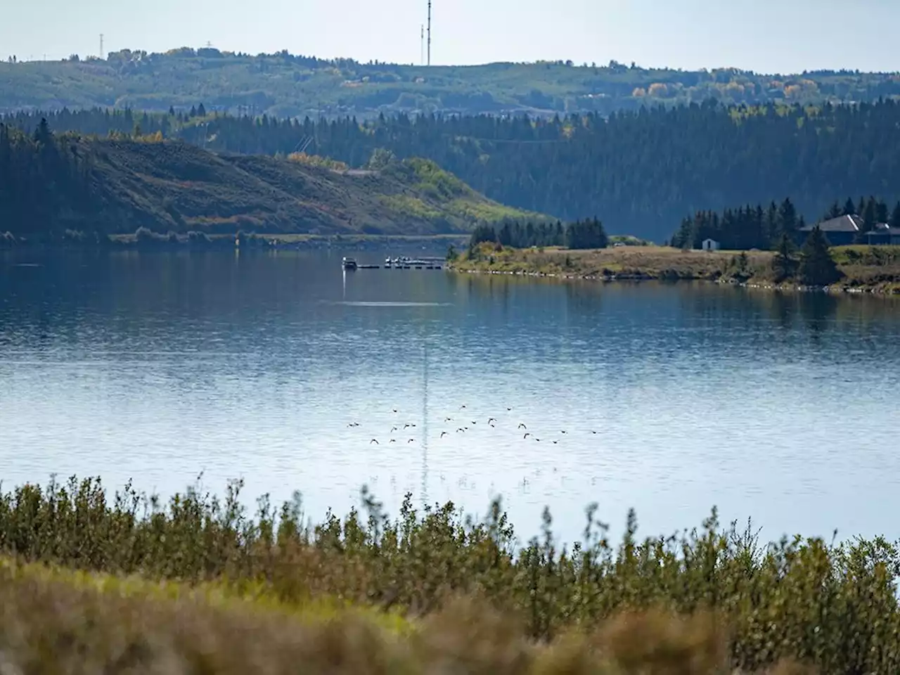 Northwest Calgary greets its long-awaited regional park along Bow River