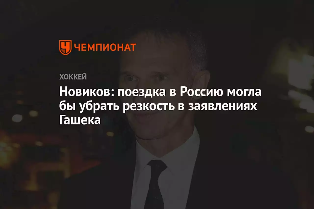 Новиков: поездка в Россию могла бы убрать резкость в заявлениях Гашека