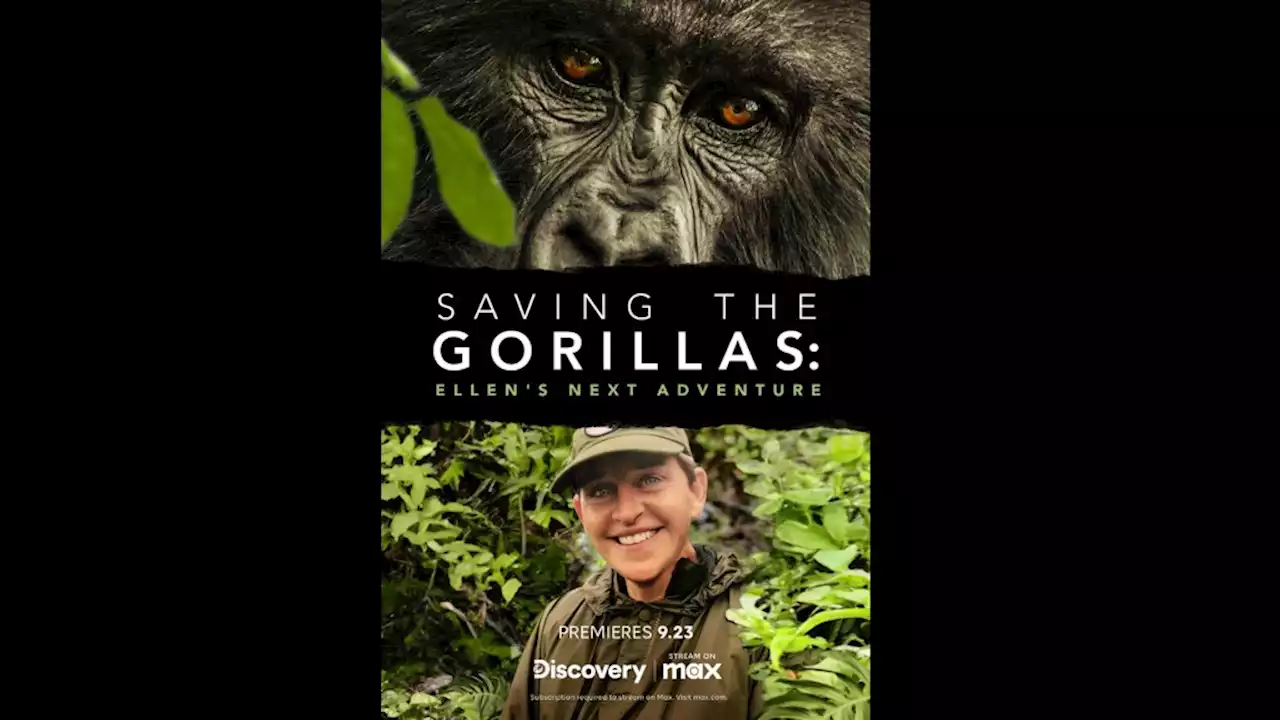 Ellen DeGeneres’ ‘Saving The Gorillas’ Documentary Special Gets Premiere Date At Discovery Channel