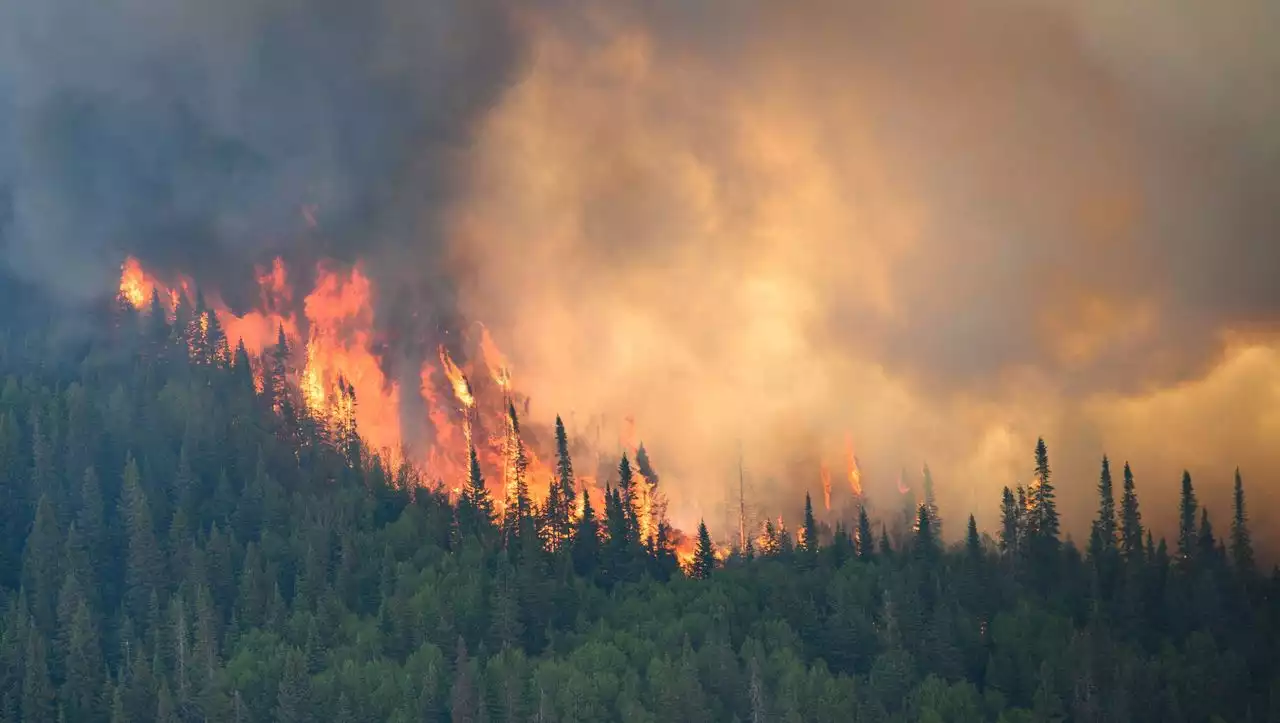 Auswertung von Satellitendaten: Rekordverdächtige Brandsaison in nördlichen Wäldern