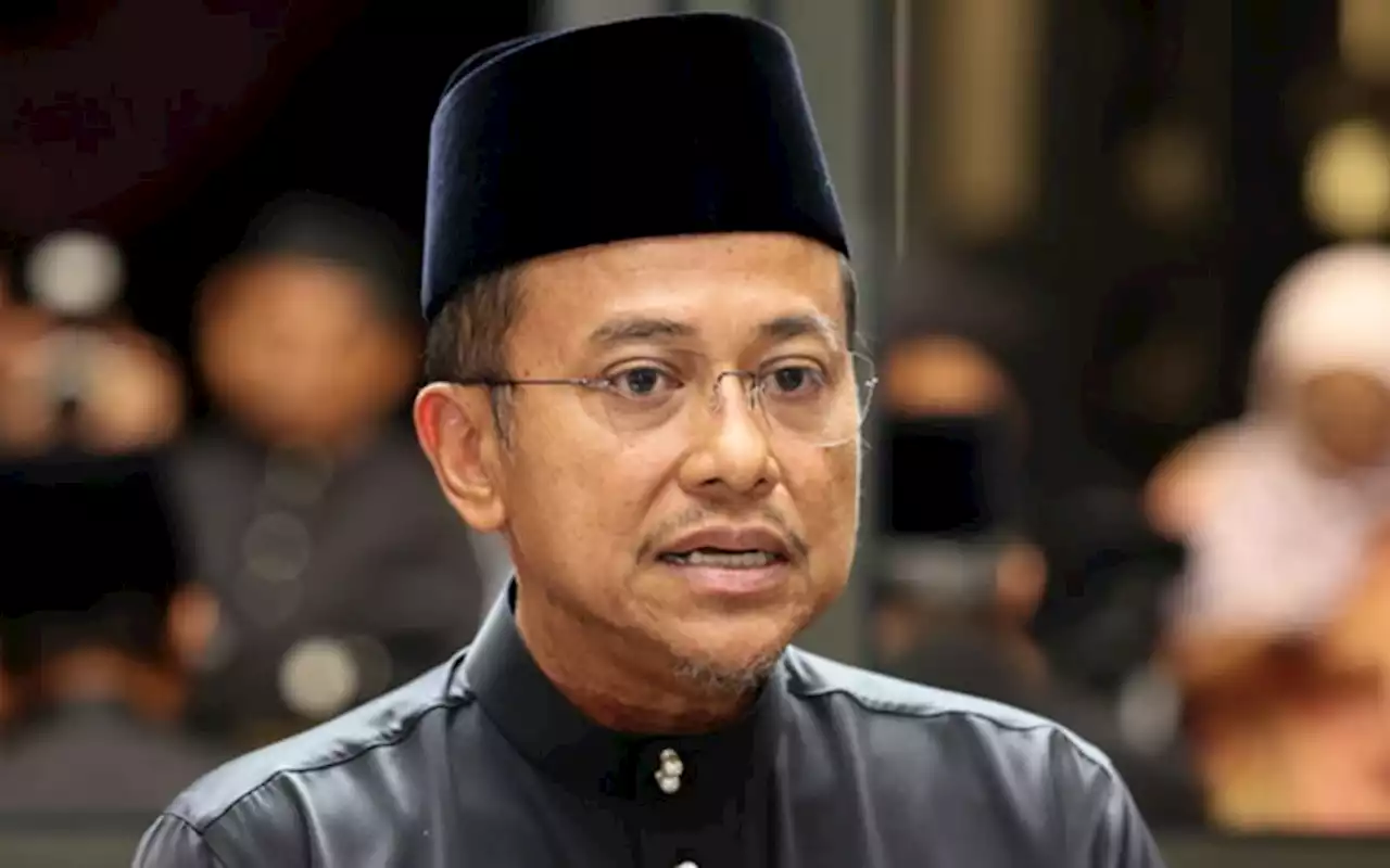 ‘State govt 4’ in the works, with Dr M as adviser, says Terengganu MB