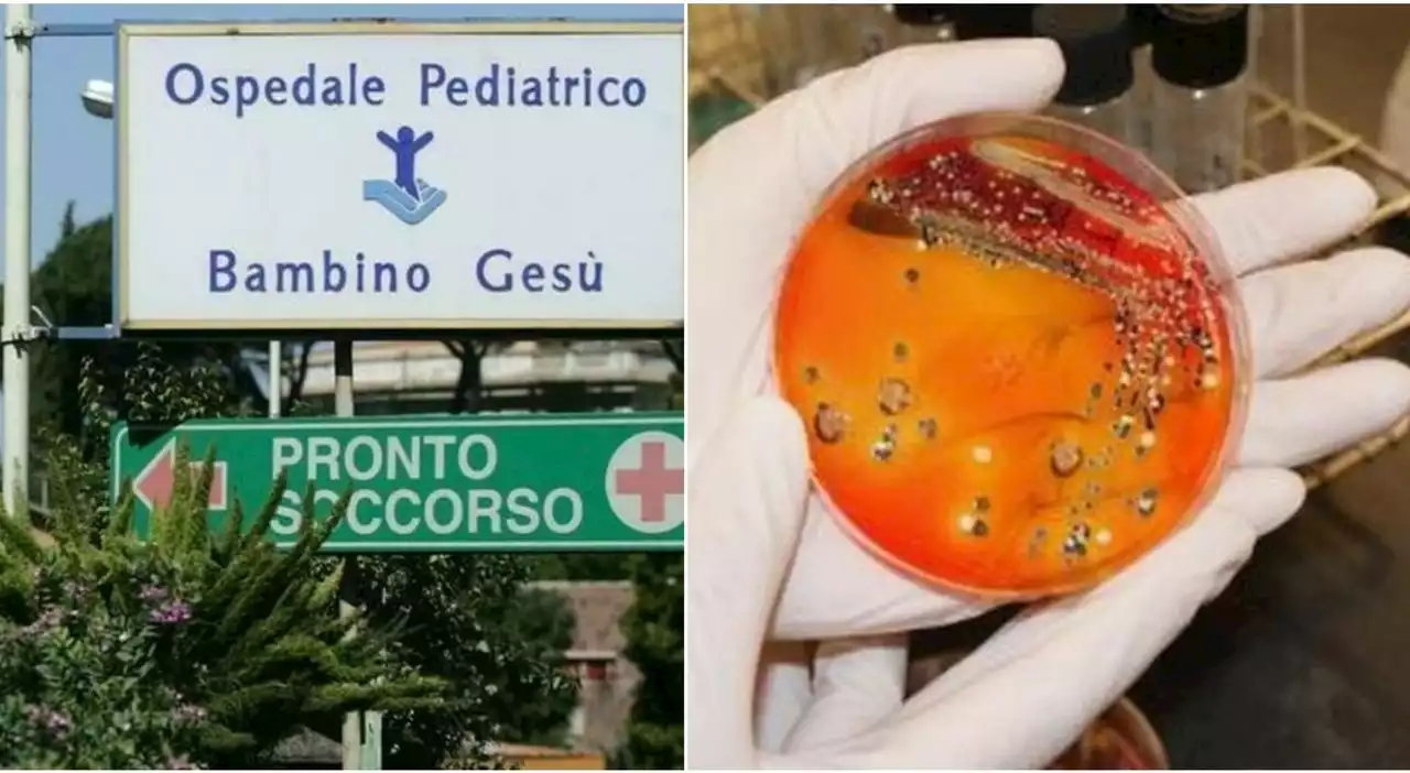 Bambino morto con febbre alta a Cosenza, tracce di salmonella e rotavirus. Il fratellino di 5 mesi grave in ospedale