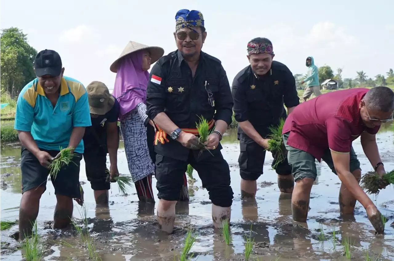 Hadapi El Nino, Mentan SYL Dorong NTB jadi Daerah Penyangga Pangan Indonesia Timur