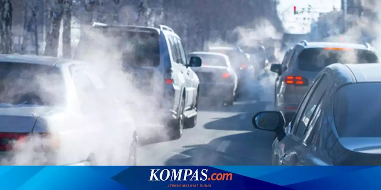 Dosen UM Surabaya: Ini Dampak dan Bahaya Polusi Udara bagi Lansia