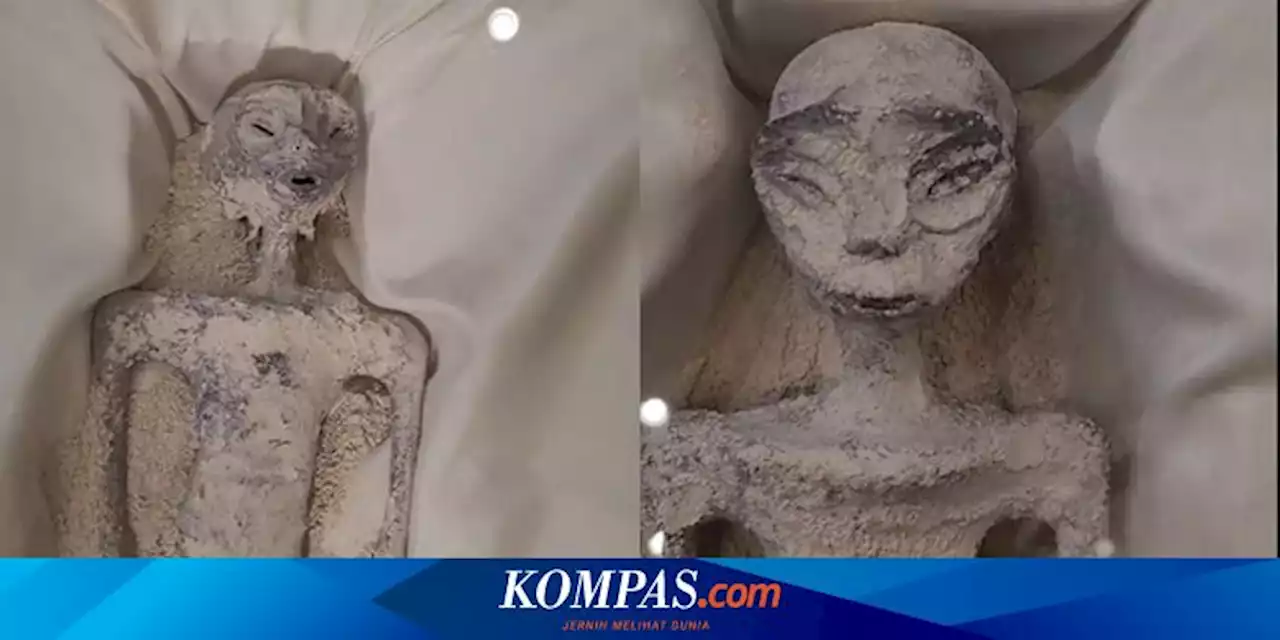 Viral, Video Meksiko Rilis 'Mumi Alien' 1.000 Tahun, Asli atau Hoaks?