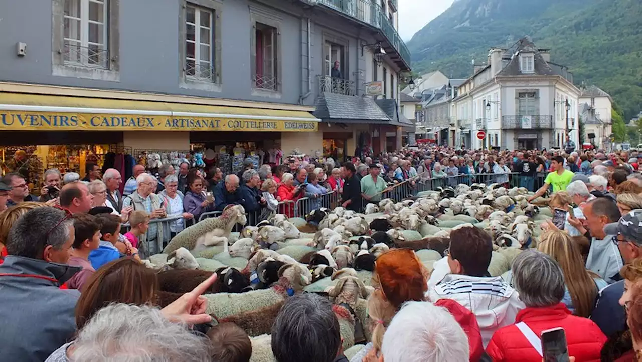 Luz-Saint-Sauveur : la Foire de la Saint-Michel, c’est pour bientôt !