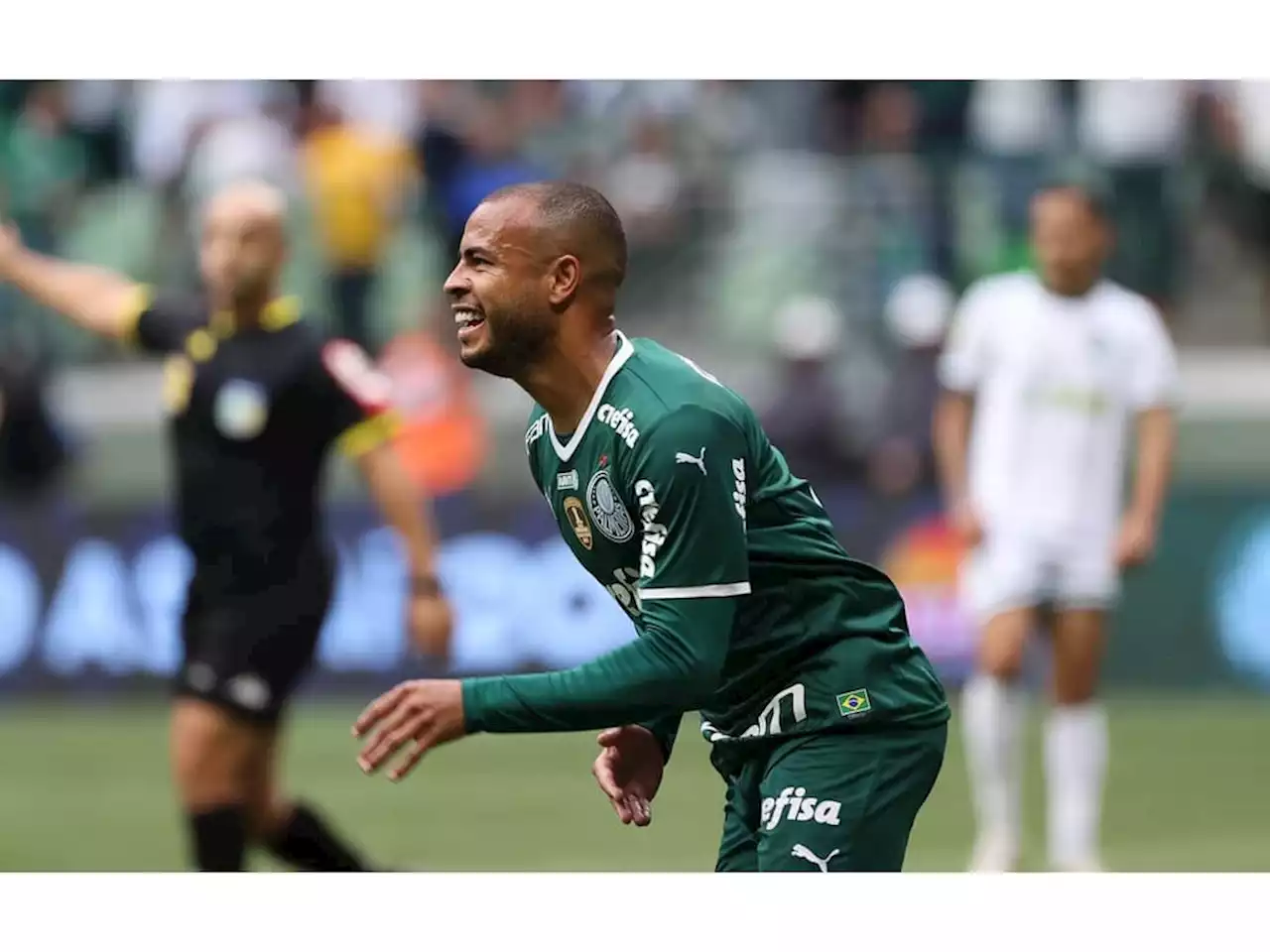 Maycafú? Vivendo grande fase, Mayke reencontra adversário em que fez golaço pelo Palmeiras