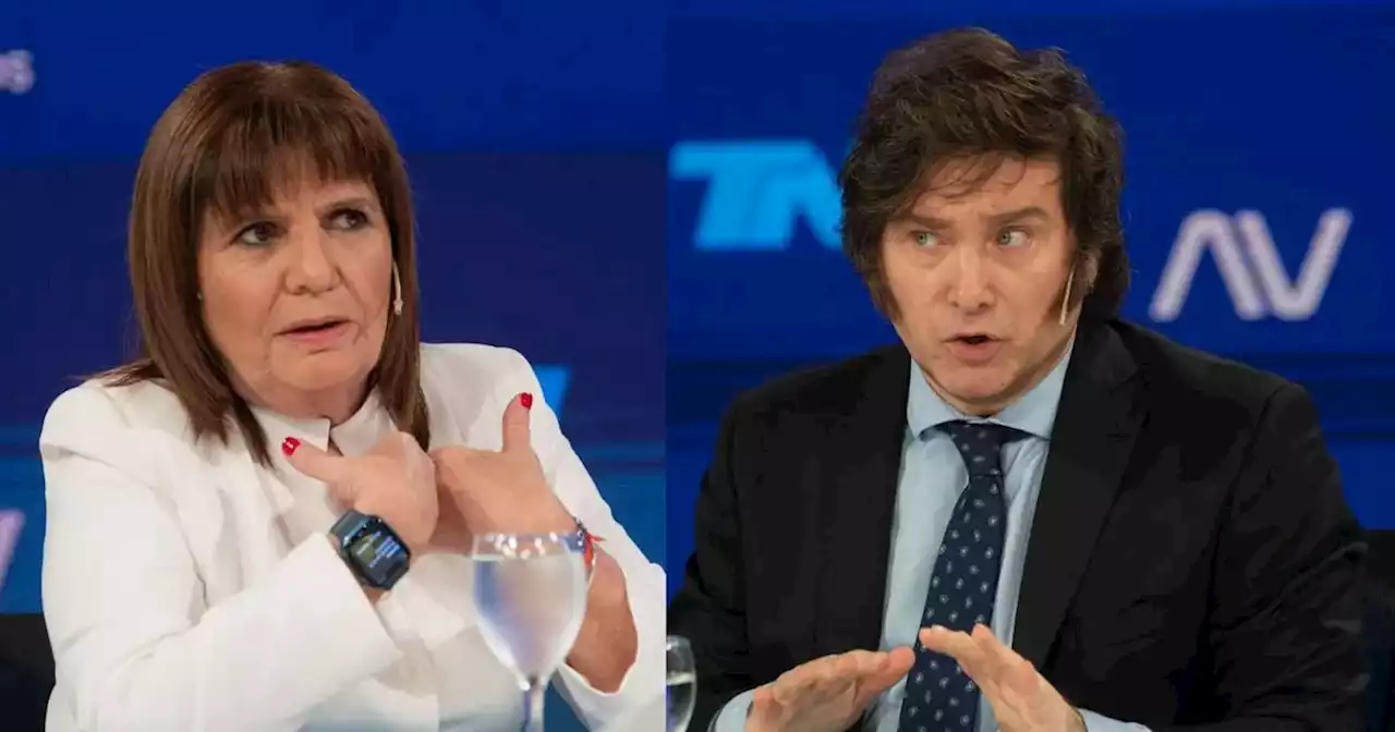 Bullrich tildó a Milei de “violento” y calificó a la dolarización como una oferta “mágica” | Política