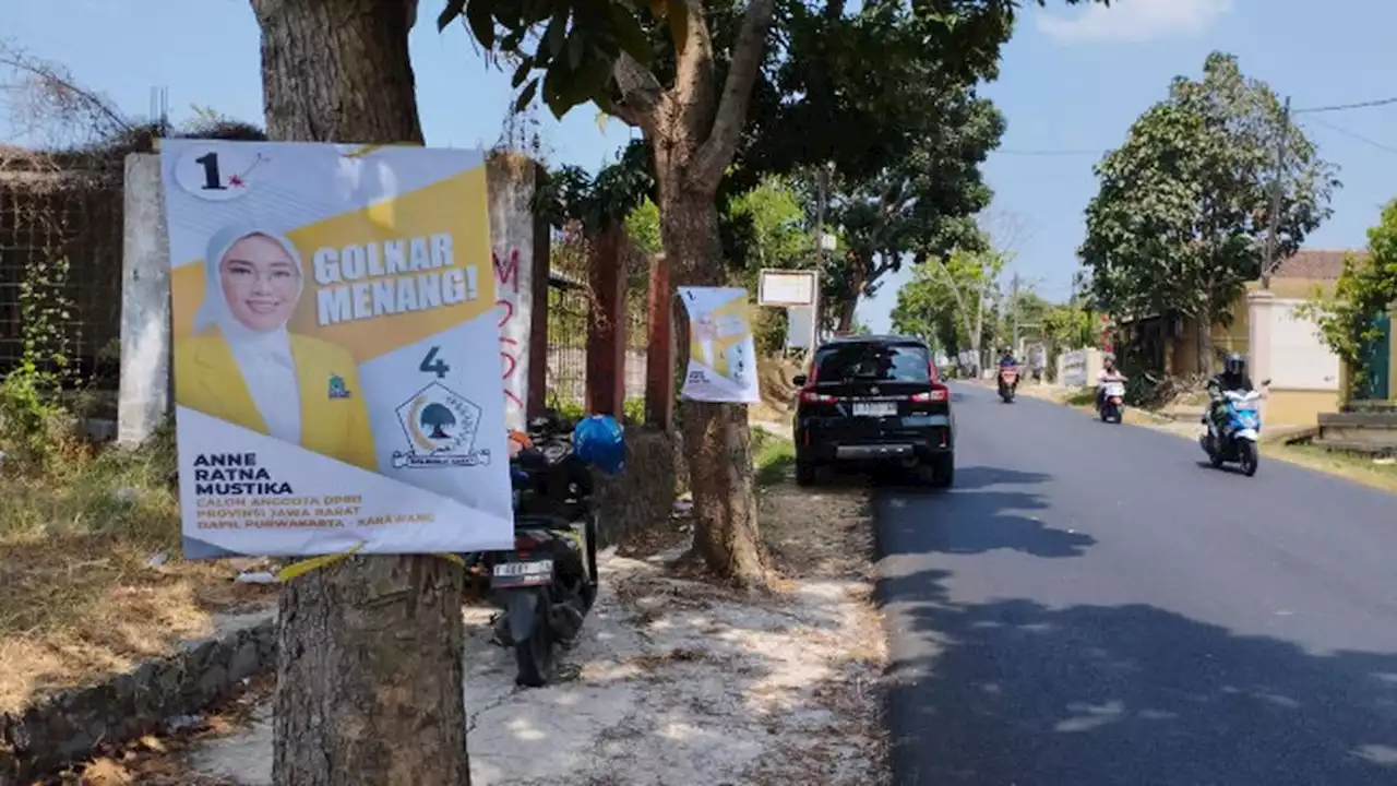 Melintasi Jalanan Purwakarta, Memandangi Pohon-Pohon 'Berselimut' Wajah Kontestan Pemilu 2024