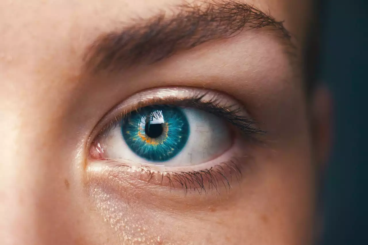 Alleviating paralysis with new brain-reading technologies