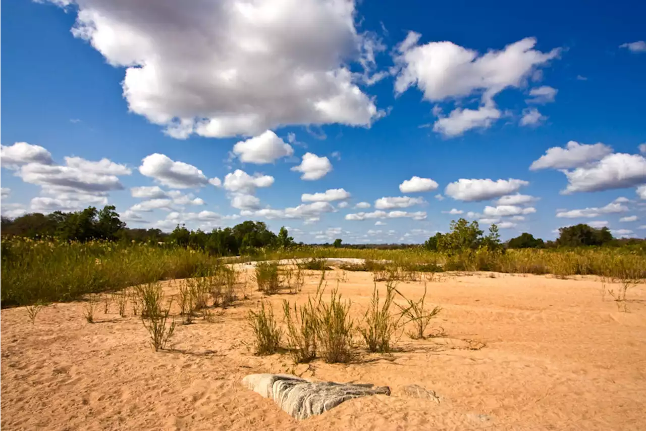 South Africa’s Kruger Park opposes new border link to Mozambique