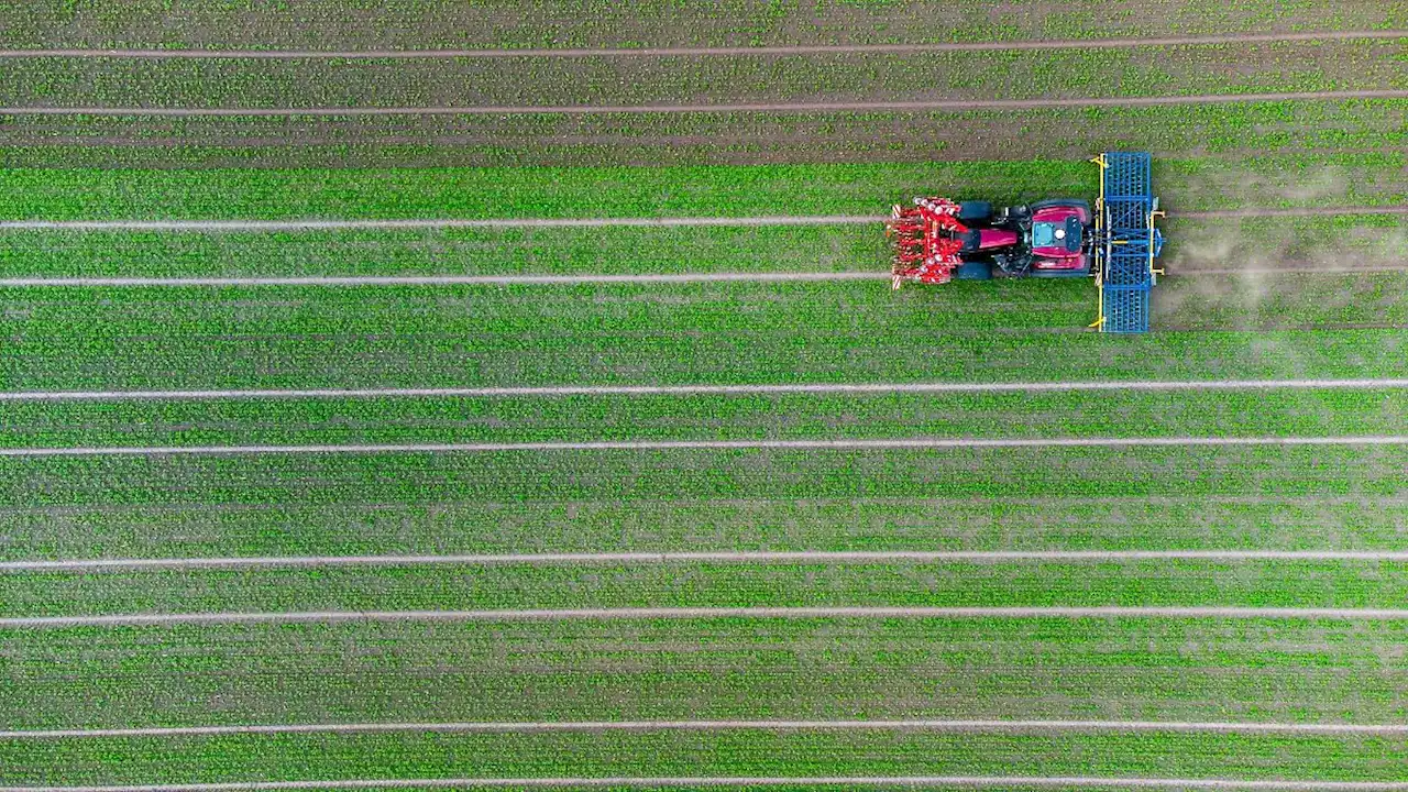 Umweltschützer und Bio-Bauern: Mehr Geld für Ökolandbau