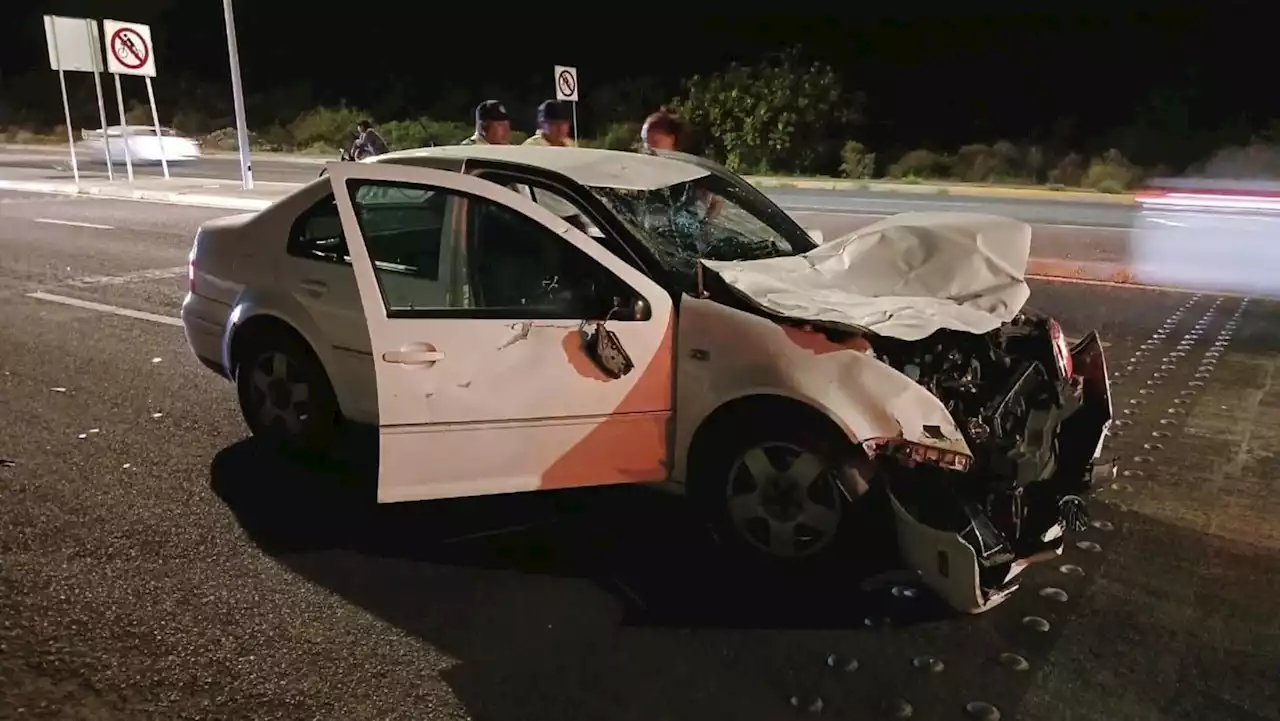 Accidente en Irapuato: vaca muere tras ser arrollada por auto en Cuarto cinturón vial