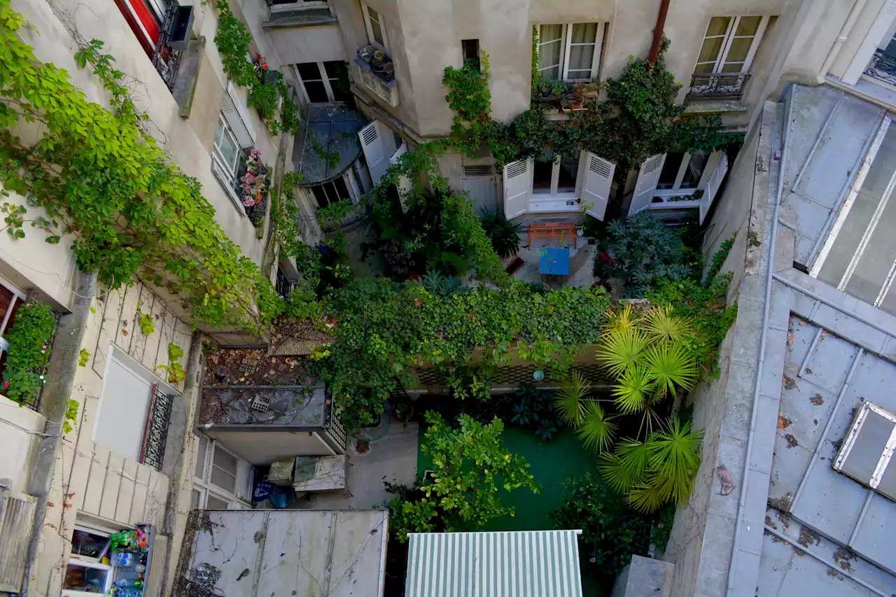 A rooftop garden in Chicago has thousands of native plants—and a mission