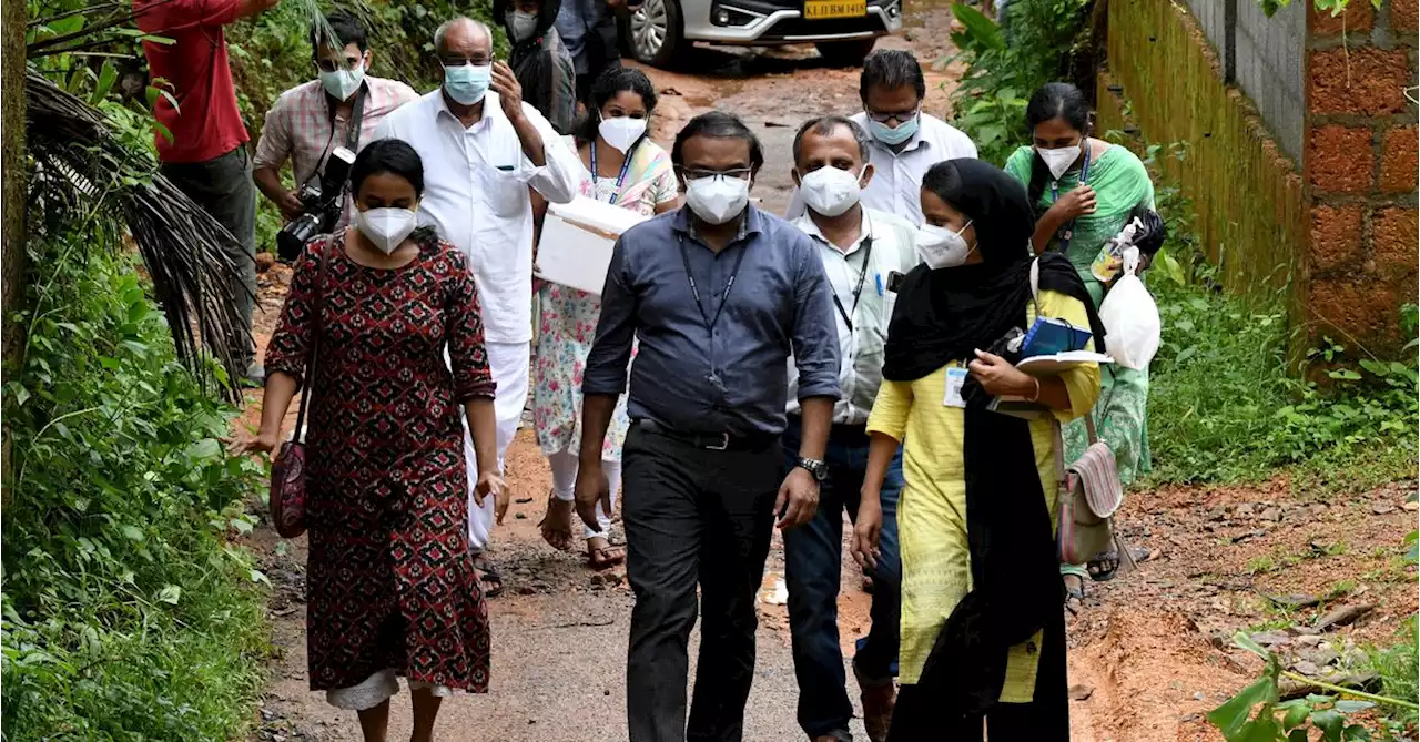 India's Nipah virus trackers gather samples from bats, fruit