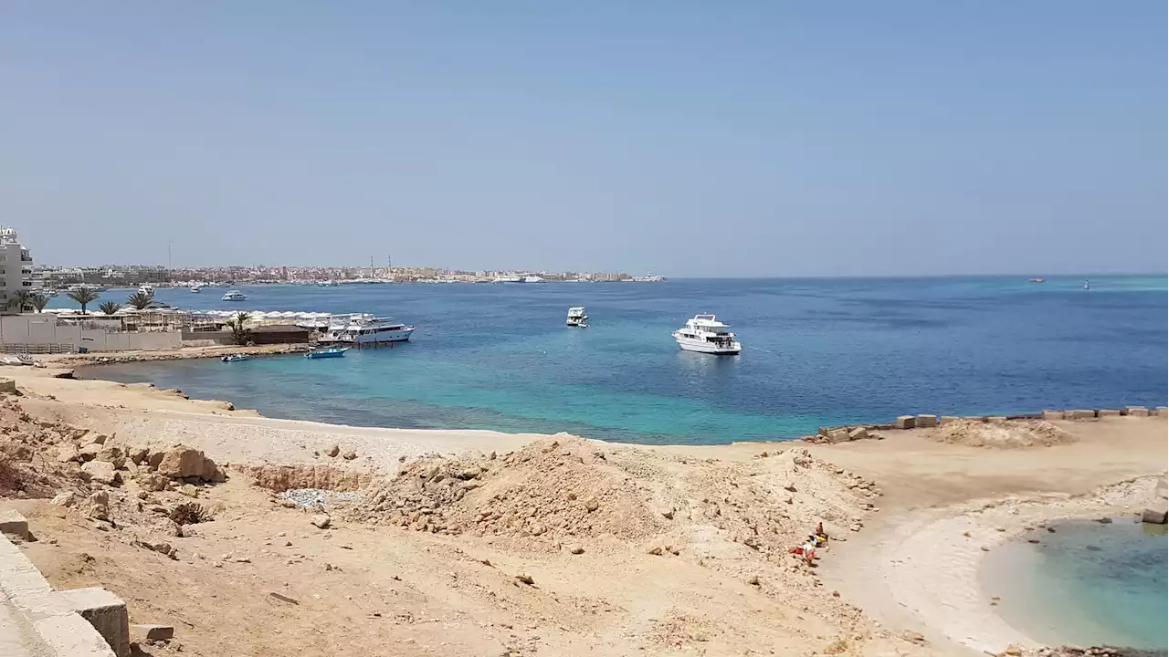 Ägypten: Nächste Hai-Attacke in Urlaubsgebiet – Touristin verliert Arm!