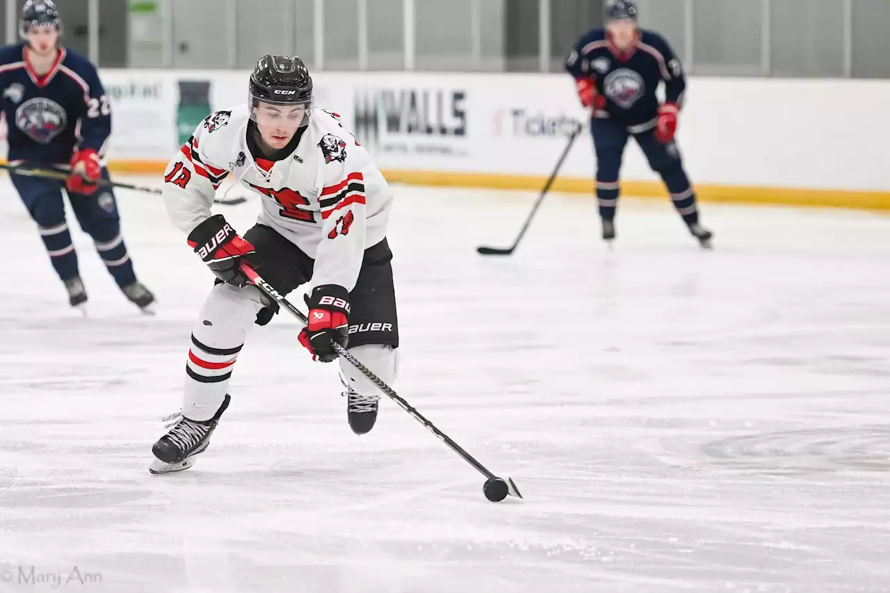 Truro Bearcats reload to take another shot at Maritime Hockey League glory